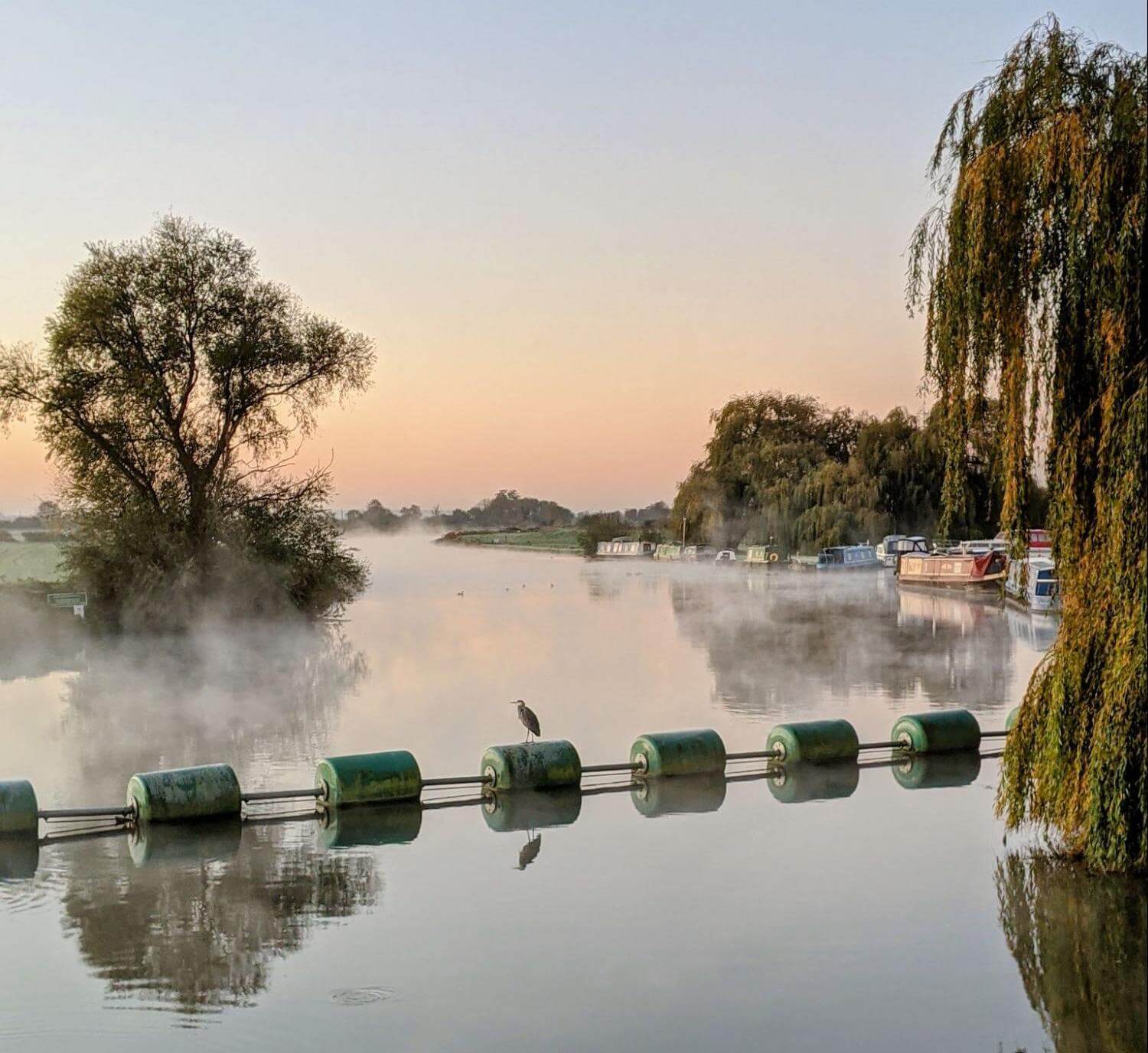 The River Cam at sunrise
