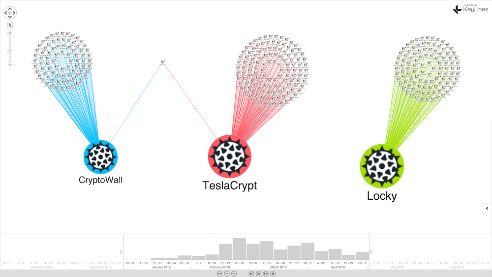 One US IP is bucking the trend to host more than just one malware family