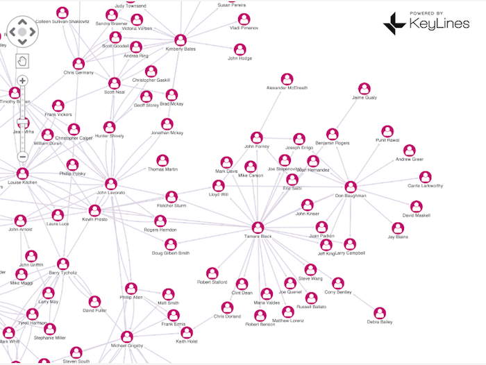 keylines-vue integration basic network