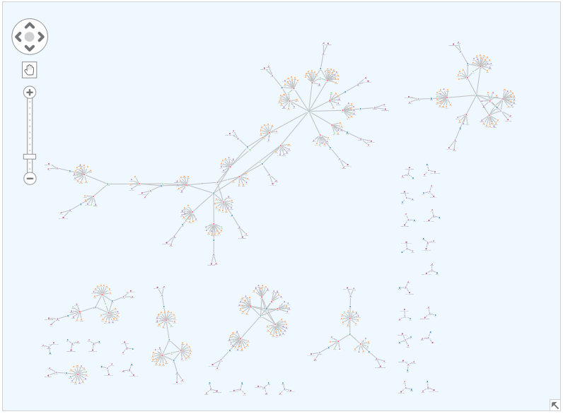 Full network view of the insurance fraud data