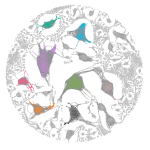 Five steps to tackle big graph data visualization