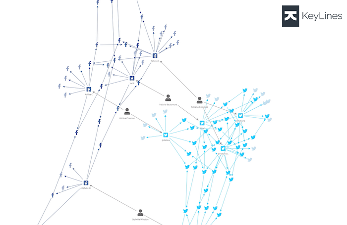 Light blue nodes and links represent retweeted or liked tweets. Dark blue represents liked or shared Facebook posts. The individuals are represented by grey nodes