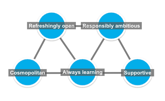 the Cambridge Intelligence core values