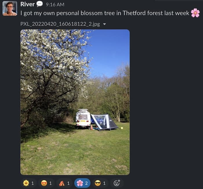 Screenshot of a Slack post of a beautiful camping spot