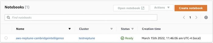 Amazon SageMaker UI displaying a Neptune instance