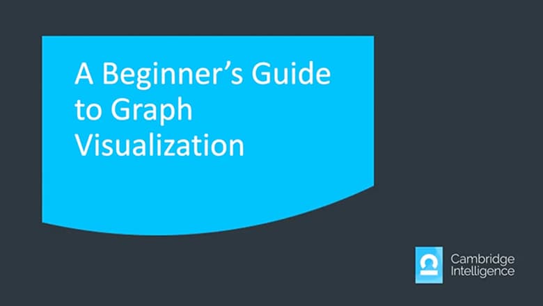 A beginner’s guide to graph data visualization