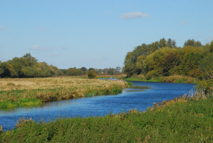 The Cambridgeshire fenlands, photo taken by our Green Group member Jake Reich at Wicken Fen
