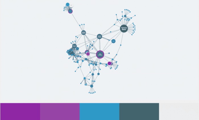 A color palette of the social network visualization created using Adobe Color.