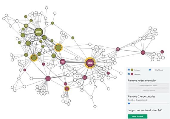 An intelligence link analysis chart