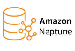 Amazon Neptune visualization