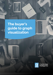 The buyer's guide to graph visualization
