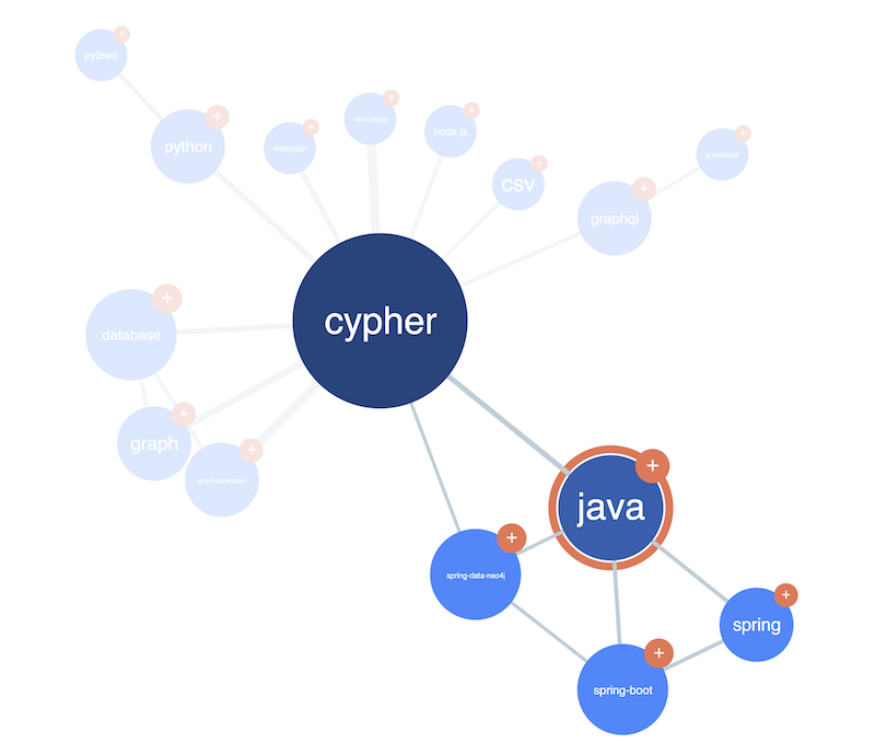 our final React Neo4j visualization