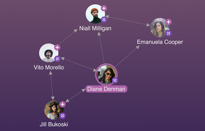 A small visualized group of connected social media users