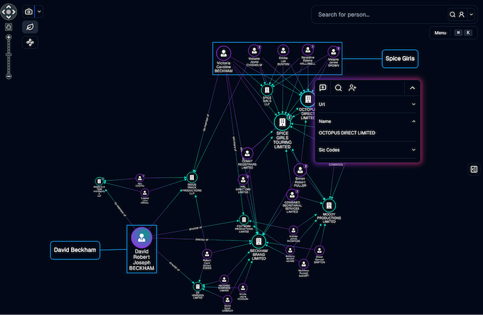 Visualization of the kind of chart used in due diligence investigations
