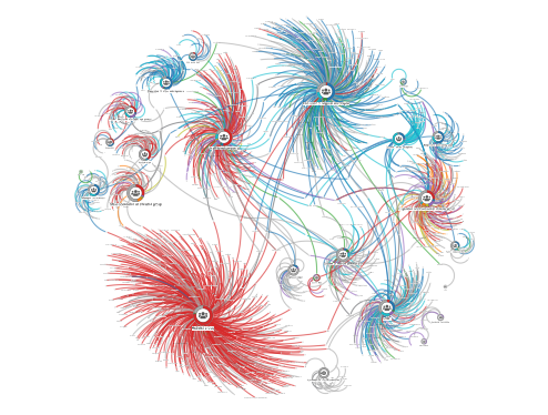 example of large network